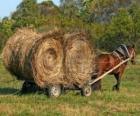 Çiftçi bir at arabası ile çizilmiş